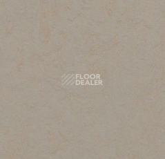 Линолеум Forbo Marmoleum Decibel on Order 370635 beton фото 1 | FLOORDEALER
